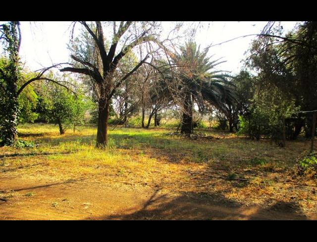 FARM FOR SALE IN BAINSVLEI